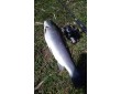 keitech-easy-shiner-2-1