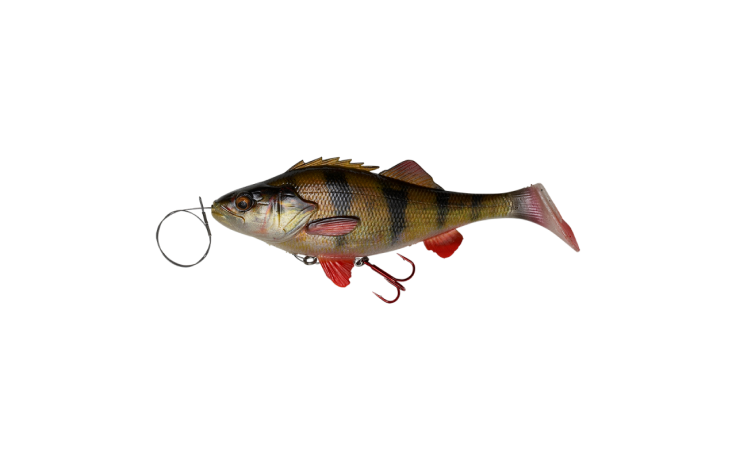 Savage Gear 4 D Perch Shad 20 cm Angelköder Gummifisch 100 Gramm Farbe Thru Perch 