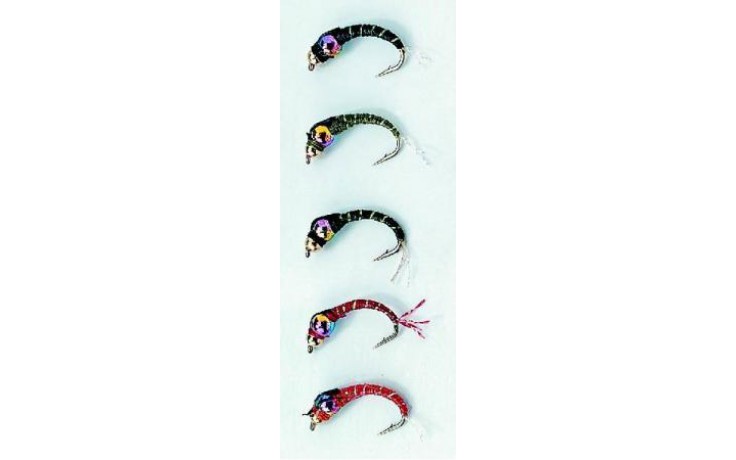 Stucki Hegene Rainbow Head 5er