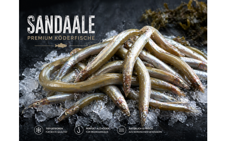 sandaale-koederische-guenstig-online-kaufen