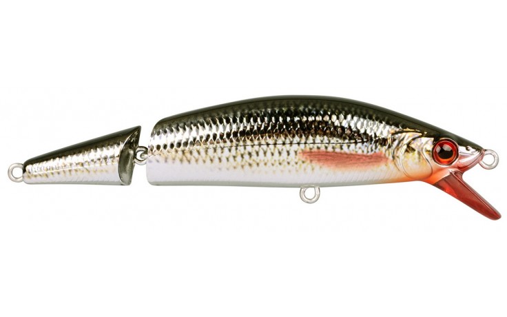 Wobbler Spro Ikiru Jointed 110 1,5 Meter Tauchtiefe 22 Gramm 110 mm 2teilig Rotauge