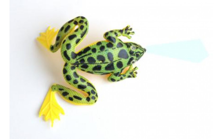 Frosch Angelköder