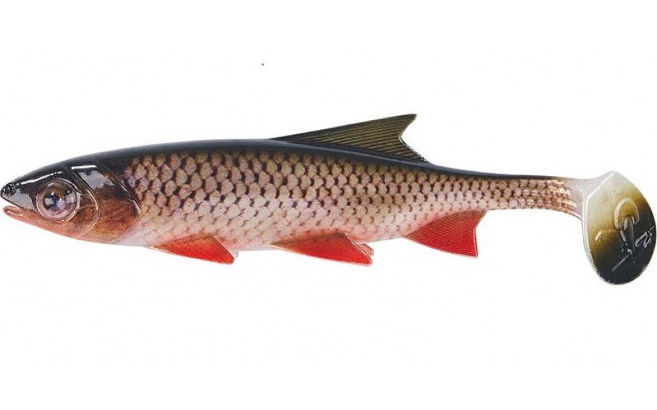 Clone Shad Döbel 18cm Angelköder Gummifisch zum Angeln auf Raubfische