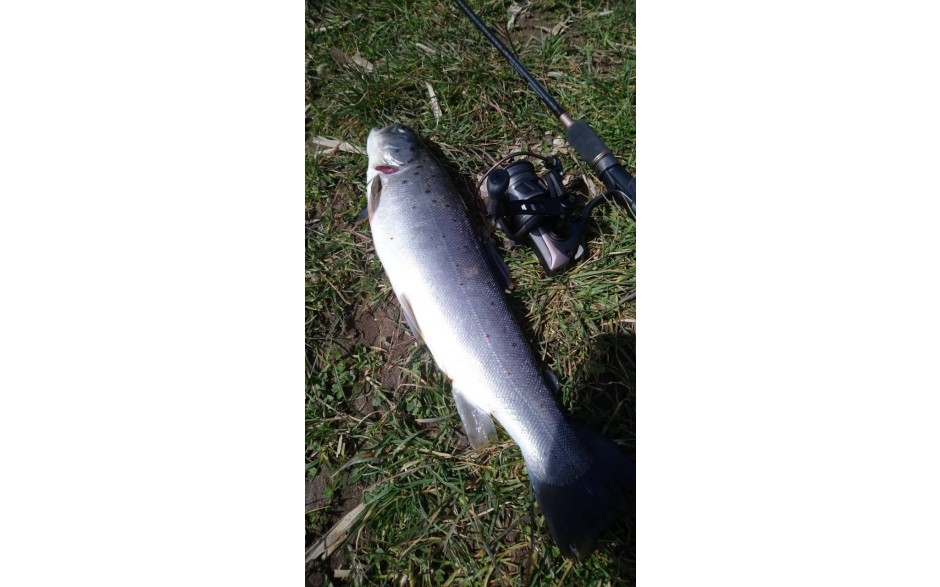 keitech-easy-shiner-2-1