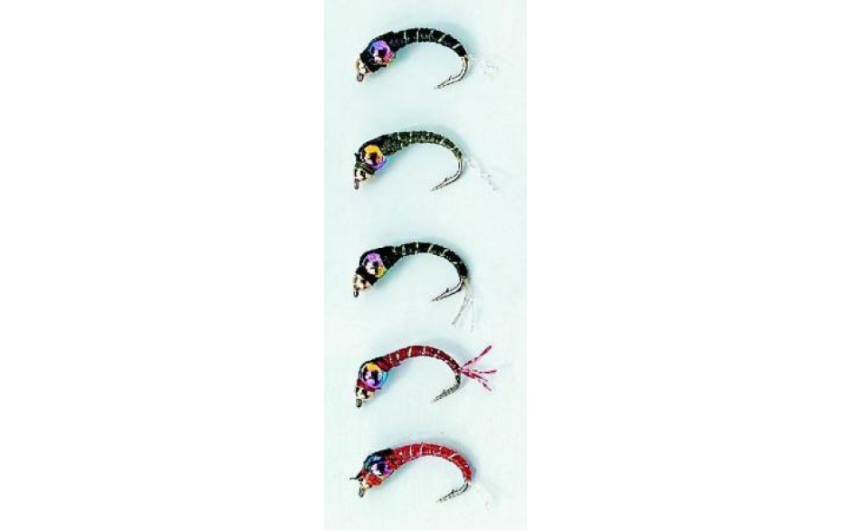 Stucki Hegene Rainbow Head 5er