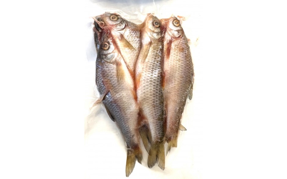 rotaugen-koederfische-deadbait-10-bis-15-cm-angelkoeder-kaufen-online
