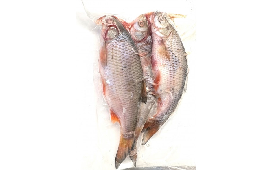 koederfisch-angelkoeder-online-kaufen-guenstig