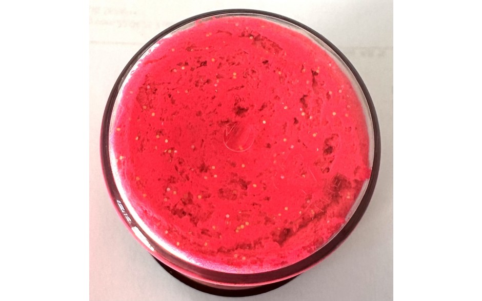 forellenteig-angelteig-fuer-forelle-troutbait-pink-knoblauch-mit-glitter-schwimmend-3