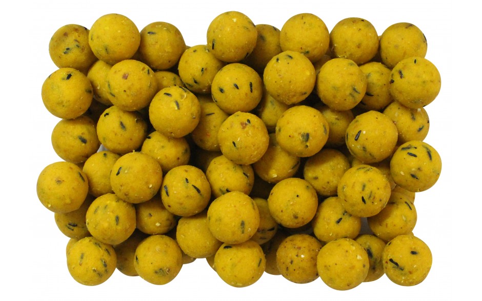 senshi-baits-boilie-banane-mais-angelkoeder-fuer-karpfen-online-guenstig-kaufen-boiliemontage-2