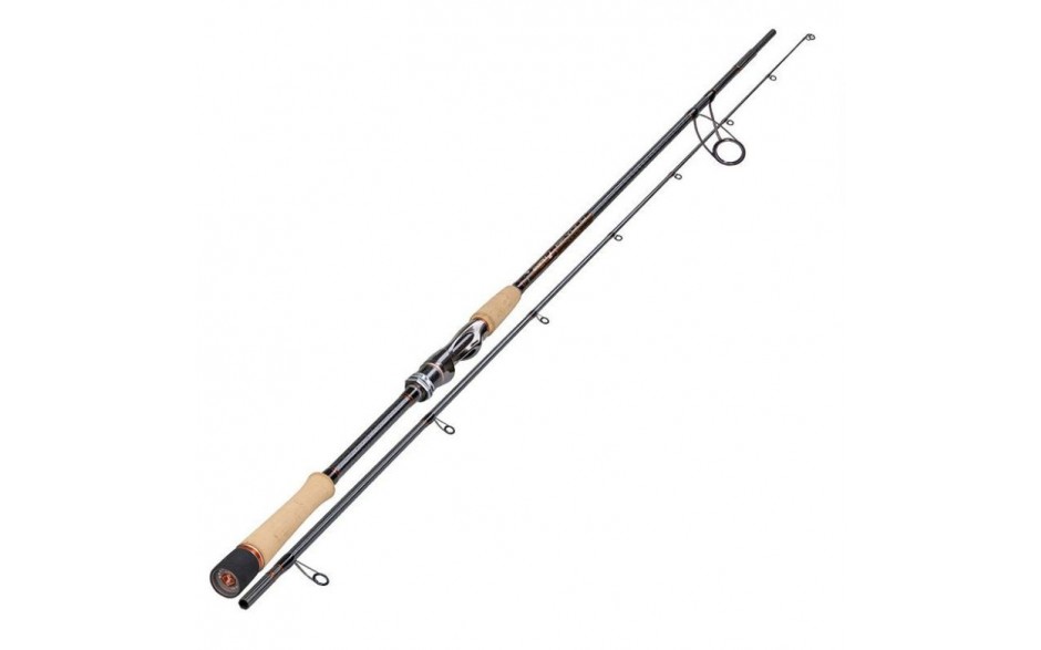 Sportex Beyond Spin BY2403 2,4 m 60 Gramm Wurfgew Gewicht 150 Gramm