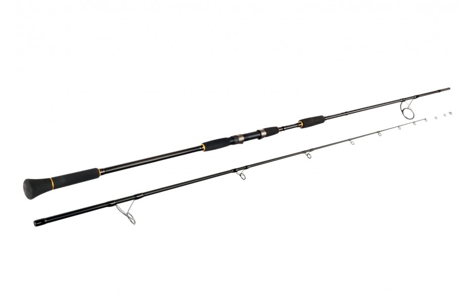 sportex-sturgeon-angelrute-sportex-angelrute-guenstig-kaufen-online-1
