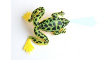 Frosch Angelköder