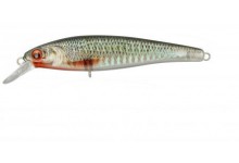 Spro Ikiru Jerk 65 SP Wobbler Roach