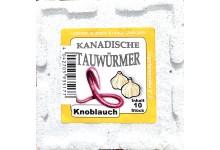 tauwuermer-knoblauch-angelkoeder-angelwurm-angelshop-wurmversand-1