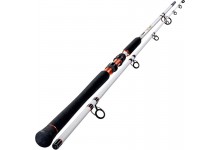 Sportex Turbo Cat Boje TC 3009 Wallerrute 3 Meter bis 500 Gramm Wurfgewicht