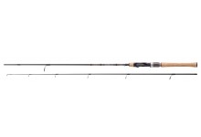 Balzer Diabolo Fury Micro Spin 10 1,5 Meter 2 bis 10 Gramm Wurfgewicht 100 Gramm 2teilig 0,79 Meter Transport Korkgriff