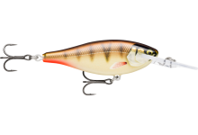 Rapala Shad Rap Elite 55 5,5 cm 7 Gramm 2,4 bis 2,7 Meter Tauchtiefe Farbe Gilded Copper Perch Angelköder Forellenköder Barschköder
