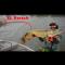 Balzer Clone Frog Angelköder im Angelshop online kaufen